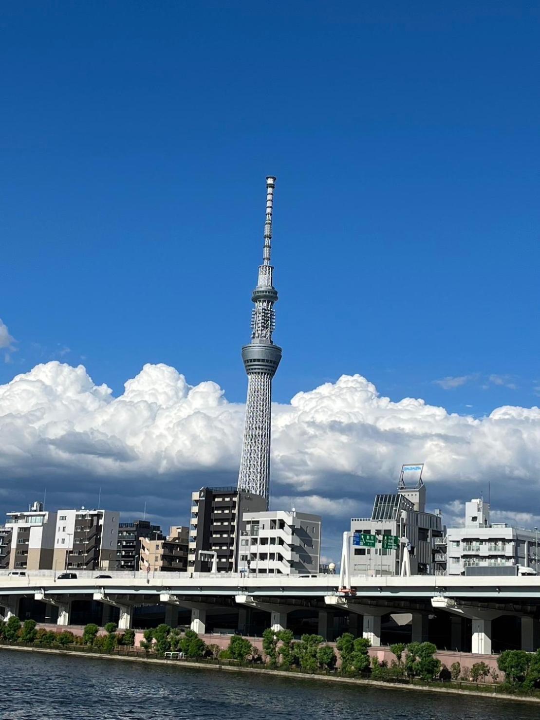 شقة 浅草駅から徒歩4分 Wi-Fi無料 成田羽田直行 طوكيو المظهر الخارجي الصورة